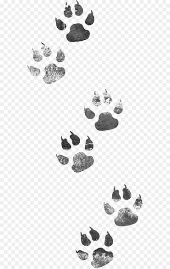 Dog Cat - Dog footprints 