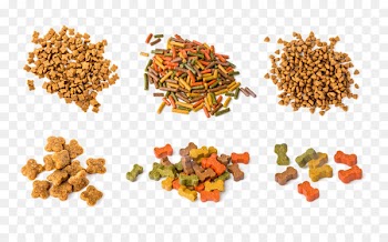 Dog Cat food Junk food - Color Cat Food 