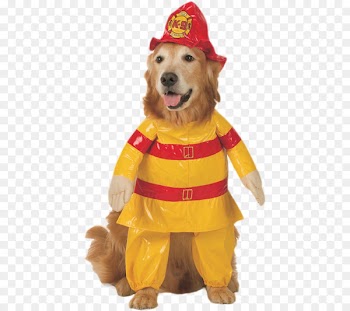 Dog Cat Halloween costume Pet - dog 