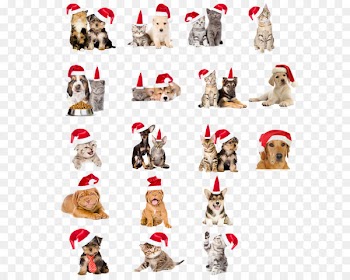 Dog Cat Pet Christmas - Christmas hats pet dogs and cats 