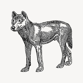 Dog collage element, drawing illustration | Free Vector Illustration - rawpixel