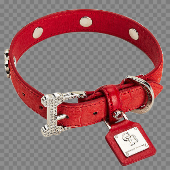 Dog Collar PNG Photo