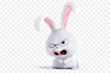 Dog Domestic rabbit Gidget Lionhead rabbit - Dog 