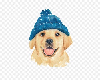 Dog Drawing Watercolor painting Cat - Cartoon Golden Retriever Dog 