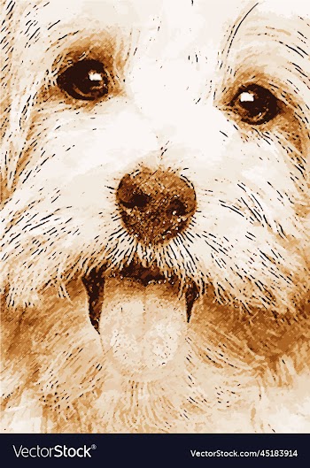 dog face cute poster image
