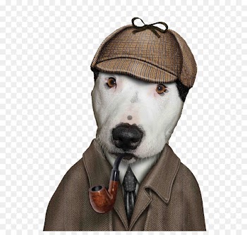 Dog Famous Faces Celebrity teNeues Pet - Puppy cos amols 