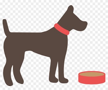 Dog Food - Myths And Truth About Animals