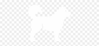 Dog Food Store, Shop Natural Dog Food, Toys In Bradley - Dog Food Store, Shop Natural Dog Food, Toys In Bradley