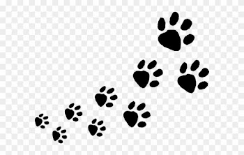 Dog Footprints Clipart