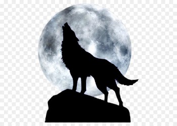 Dog Full moon T-shirt Black wolf - BLUE WOLF 
