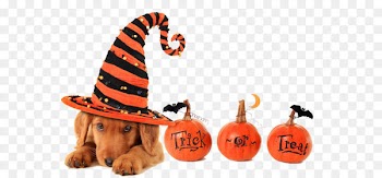 Dog Halloween Trick-or-treating Pet Cat - Halloween dog 