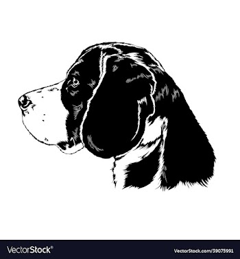 dog head