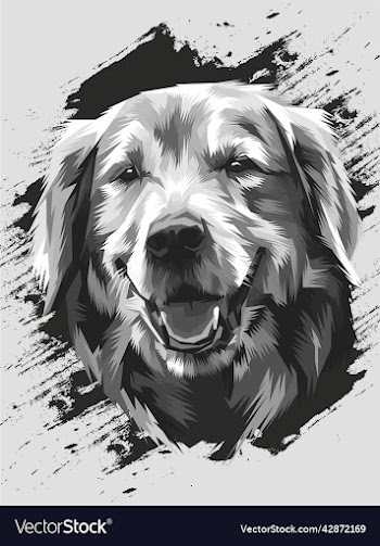 dog head