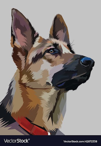 dog head