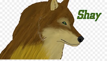 Dog, Mammal, Canidae, Vertebrate PNG