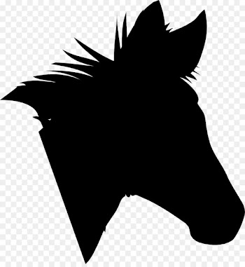 Dog, Mustang, Mammal, Black, Head PNG