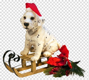 Dog New Year Christmas , Christmas Dog transparent background PNG clipart