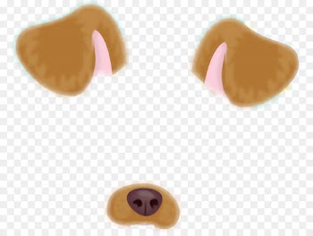 Dog paddle Animal Doge Snapchat - filter snap chat 