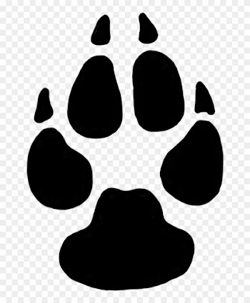 Dog Paw Prints Domestic Dog Cliparts Free Download - Cougar Tracks Vs Wolf Tracks