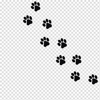 Dog paw prints illustration, Cat Dog Kitten Footprint Paw, Black animal footprints transparent background PNG clipart