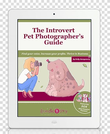 Dog Pet Puppy Animal , Dog transparent background PNG clipart