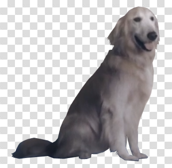 Dog.png | Ace Combat JPEG Dog | Know Your Meme