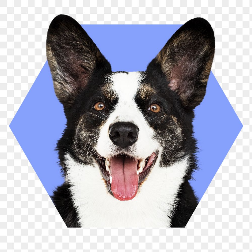 Dog png badge sticker, Cardigan | Free PNG - rawpixel