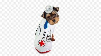 Dog Puppy Halloween costume - Pet dog doctor 