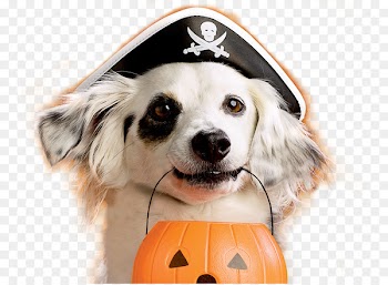 Dog Puppy Halloween Pet Costume - bone dog 