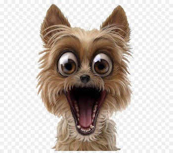 Dog Puppy Pet Surprise - Pet Puppy 