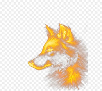 Dog Red fox - Special effects wolf 