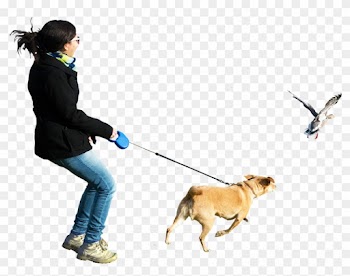 Dog Running At Birds - People Png