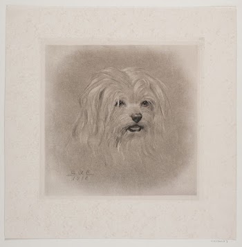 Dog's head | Free Photo - rawpixel