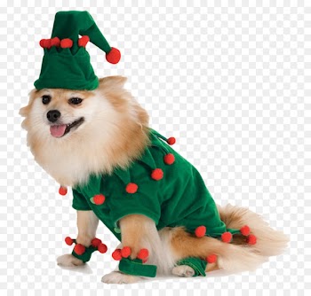Dog Santa Claus Amazon.com Costume Pet - Dog clothes 