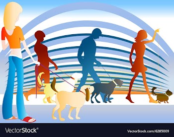 Dog show vector image