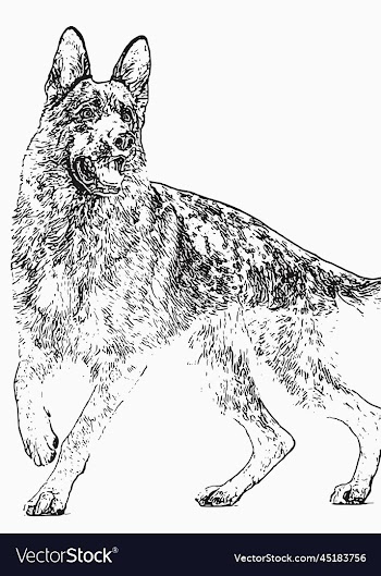dog sketch creative poster image