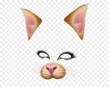 Dog Snapchat Photographic filter - Snapchat Filters Png Pic 