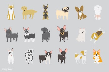 Dog terrier american eskimo | Free stock vector - 60540