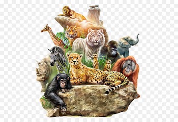 Dog Tiger Lion Animal Forest - Animals meeting 