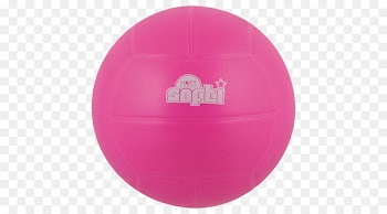 Dog Toys Jolly Pets Bounce n Play Jolly Ball Tug-N-Toss - dog 