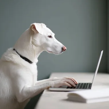 Dog Typing on Laptop Dog Typing on Laptop
