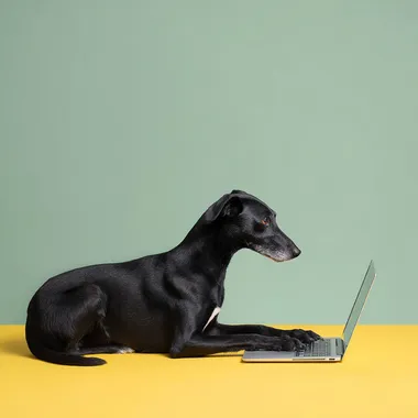 Dog Typing on Laptop Dog Typing on Laptop