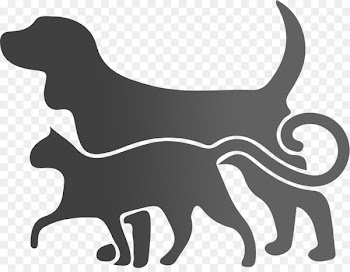 Dog walking Cat Pet Dog daycare - poo banner 