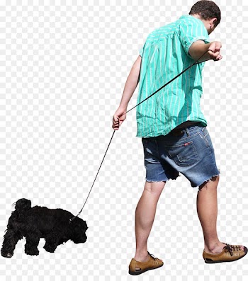 Dog walking Dog walking Clip art - Free Download PNG People 