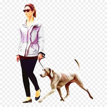 Dog Walking, Labrador Retriever, Architecture, Canidae PNG