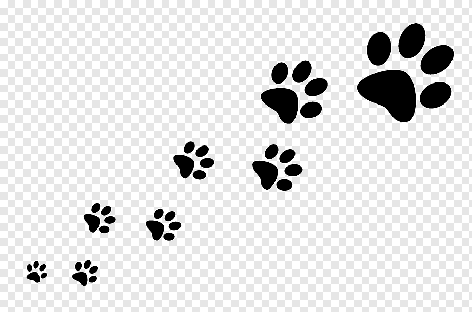 Dog walking Pet sitting Cat, footprints, white, animals, leaf png