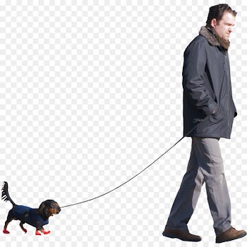 Dog walking Puppy Dog Walks Man: A Six-Legged Odyssey - Man Sitting 