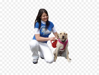 Dog walking Puppy Pet sitting - people 