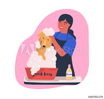 Dog washing service flat vector illustration