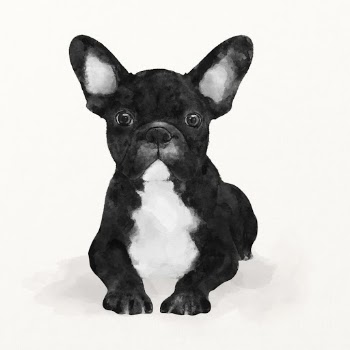 Dog watercolor illustration, French Bulldog | Free Photo Illustration - rawpixel